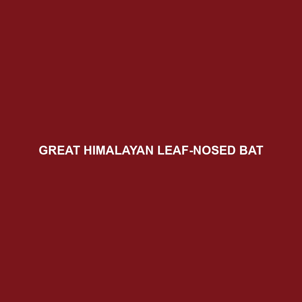 Great Himalayan Leaf-nosed Bat