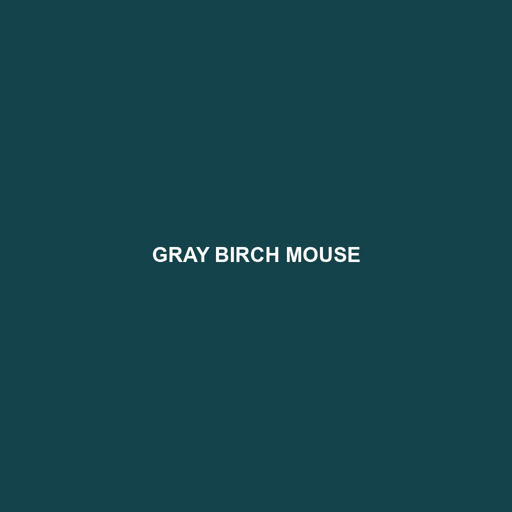 Gray Birch Mouse