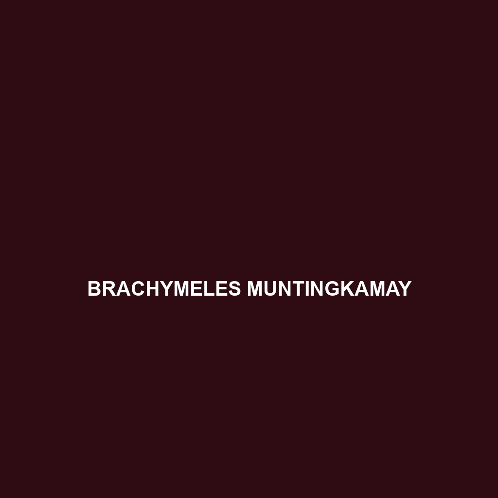 Brachymeles muntingkamay