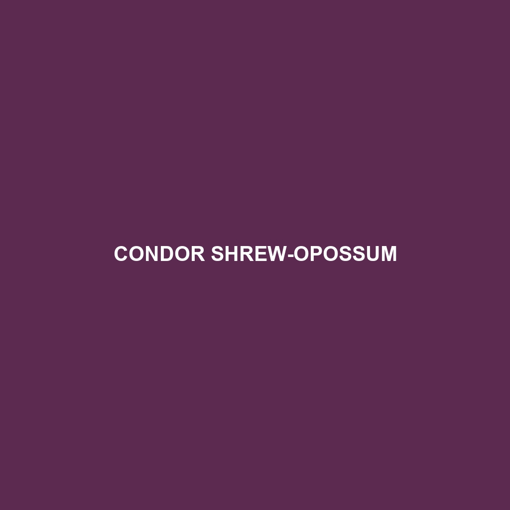 Condor Shrew-opossum