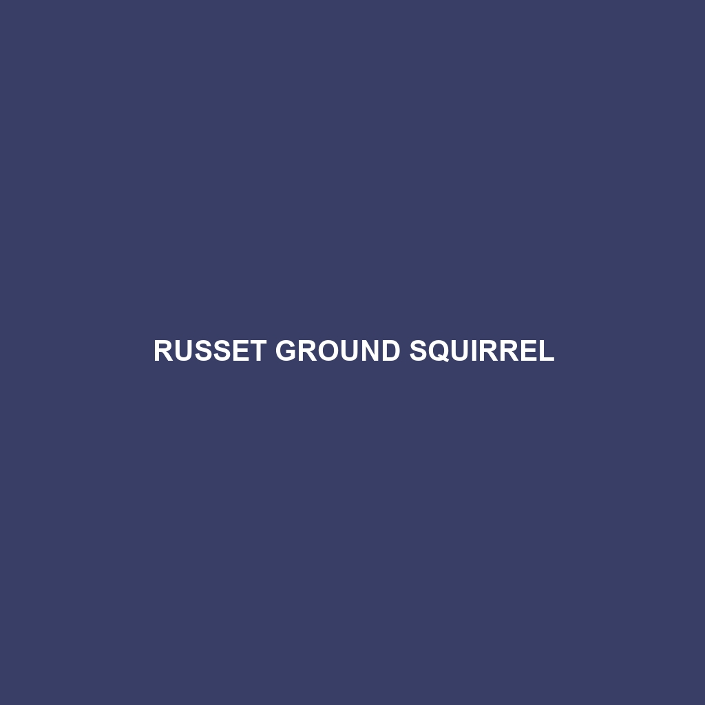 Russet Ground Squirrel