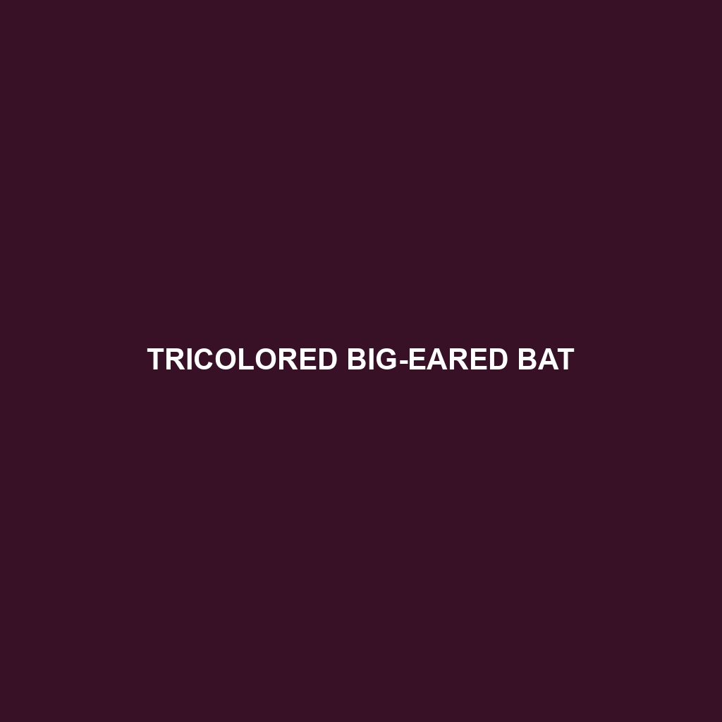 Tricolored Big-eared Bat