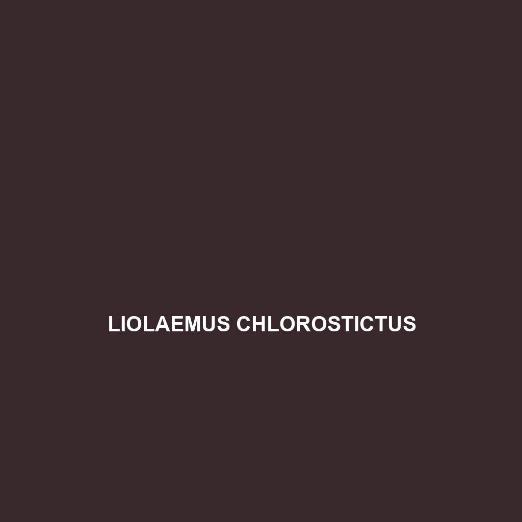 Liolaemus chlorostictus