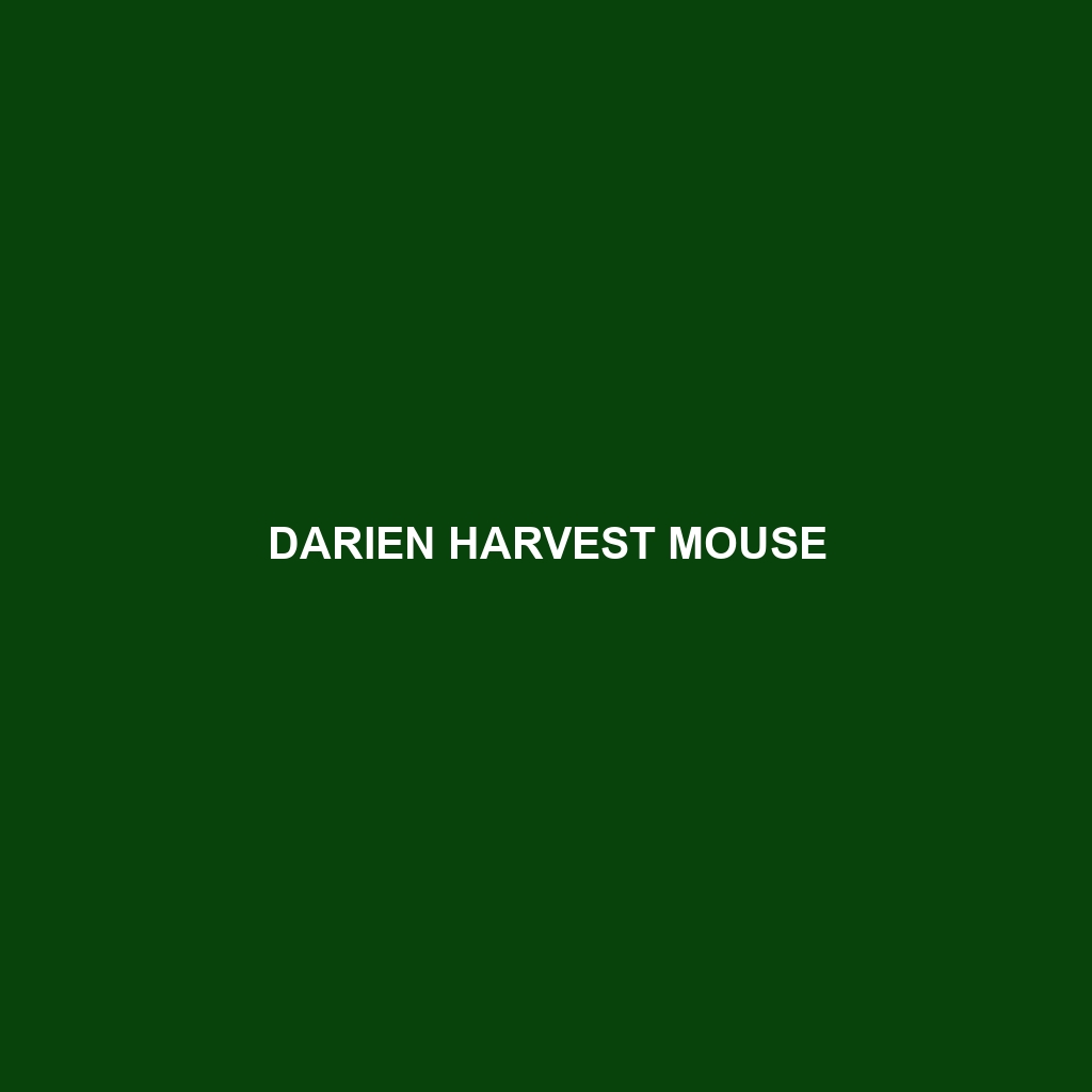 Darien Harvest Mouse