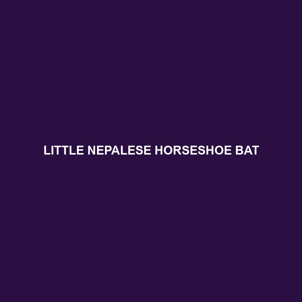 Little Nepalese Horseshoe Bat