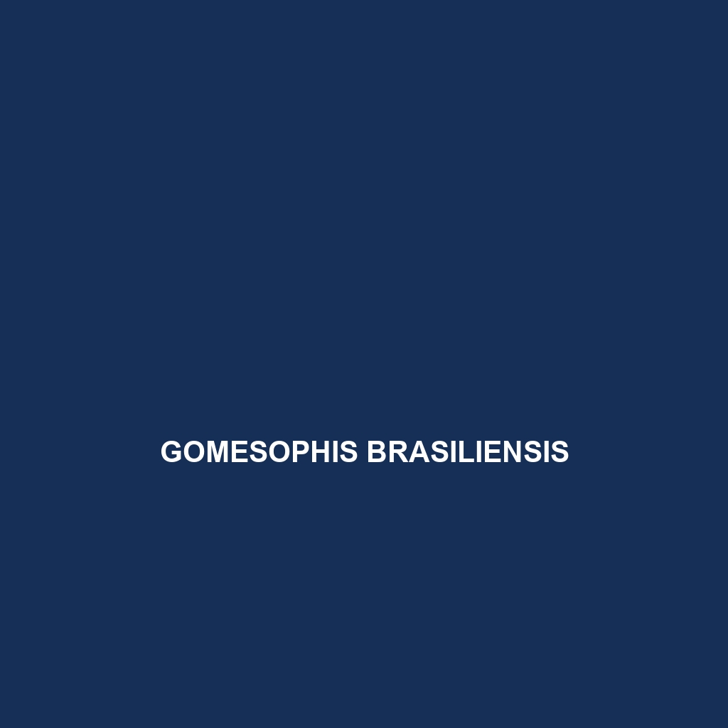 Gomesophis brasiliensis