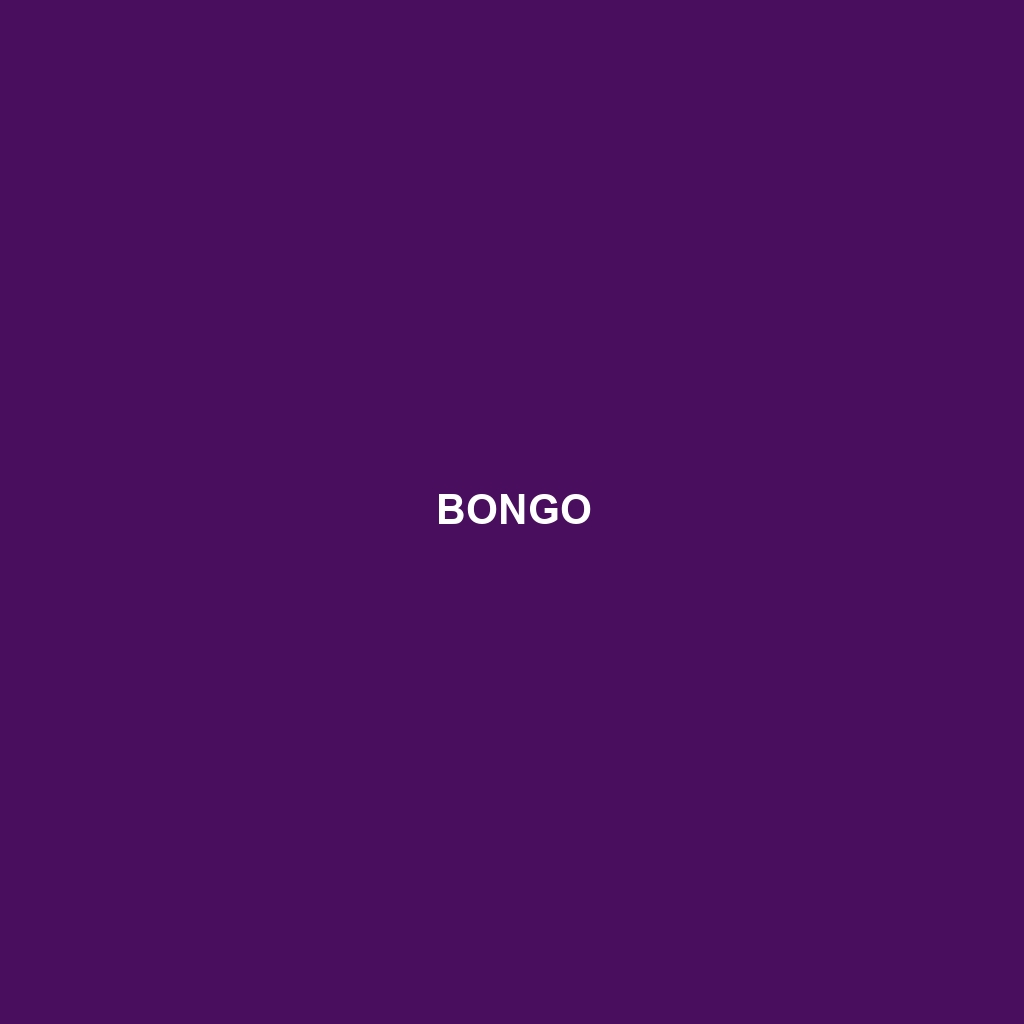 Bongo