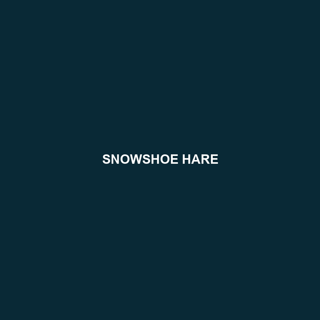 Snowshoe Hare