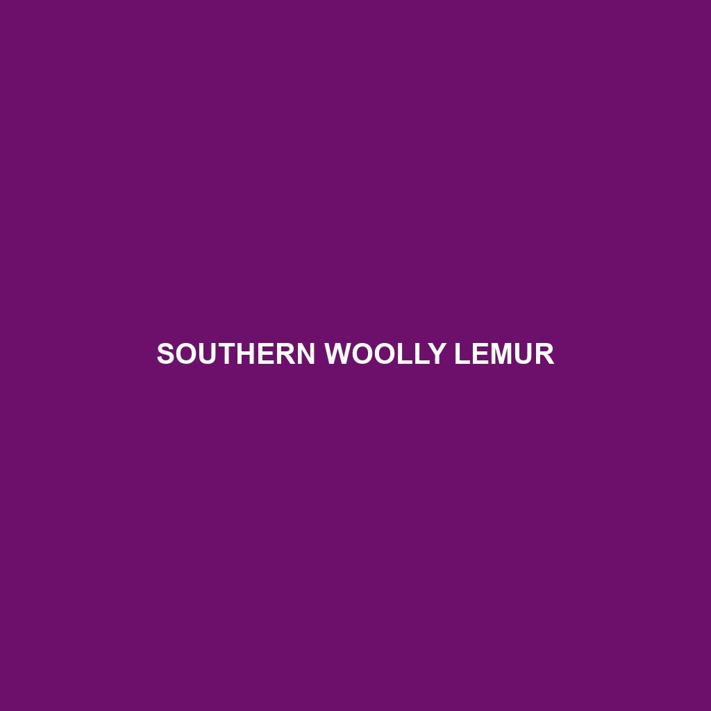 Southern Woolly Lemur