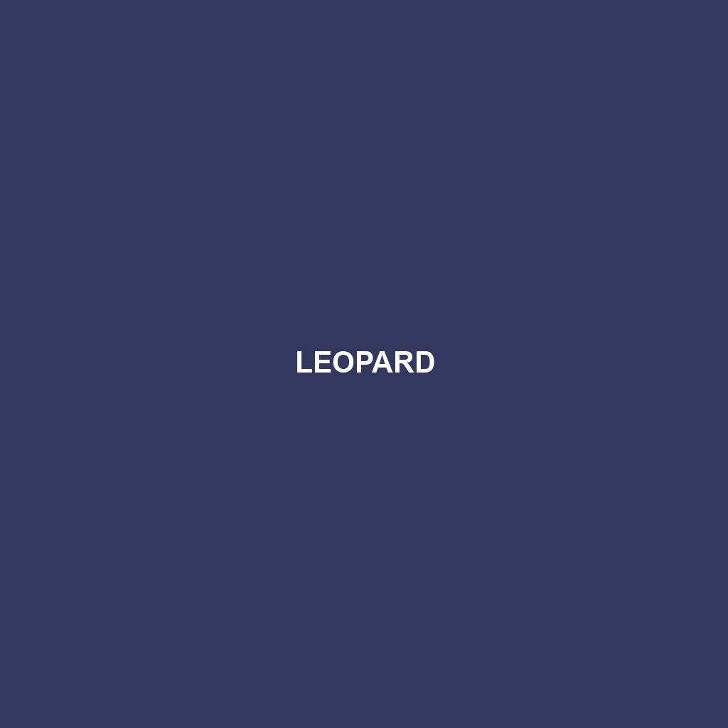 Leopard