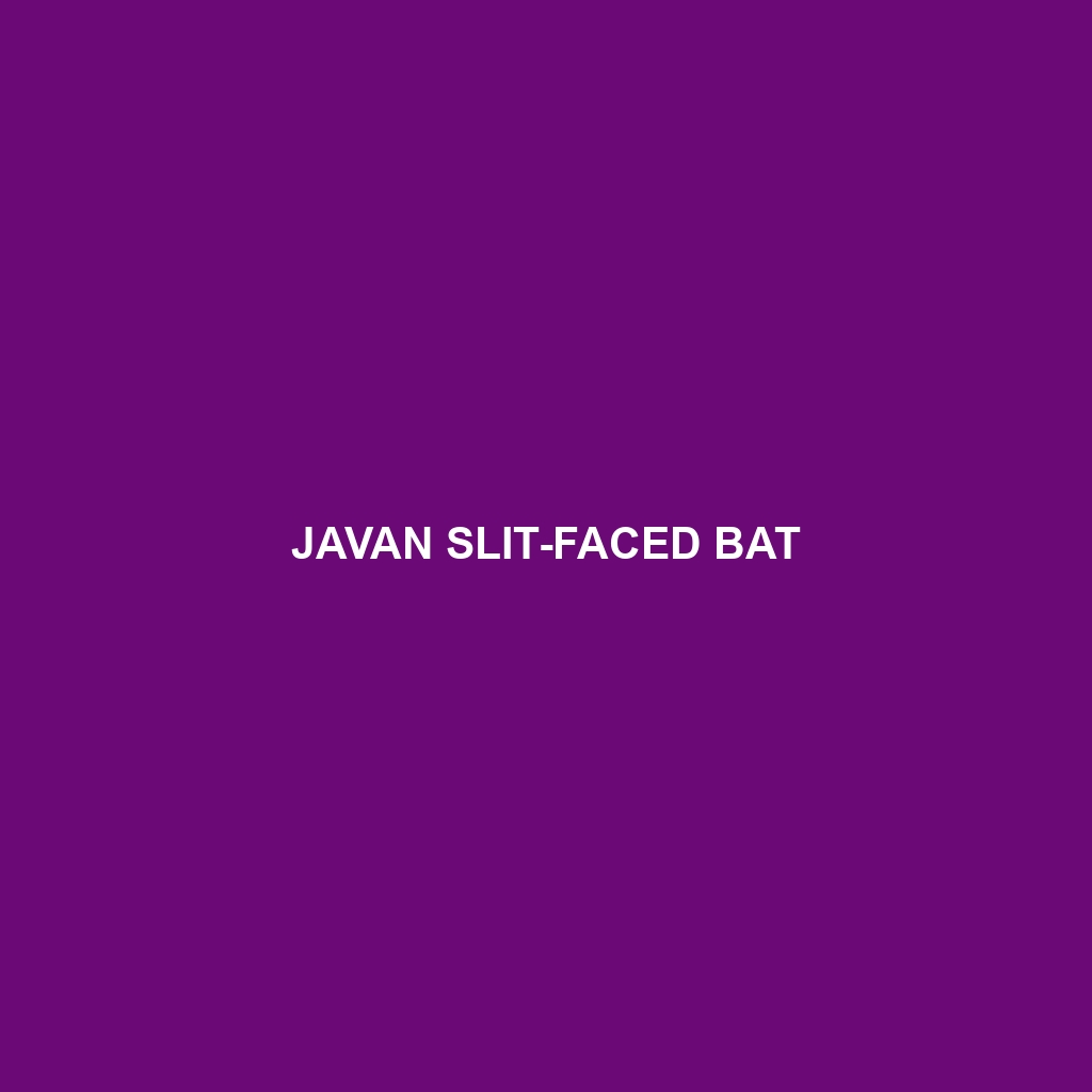 Javan Slit-faced Bat