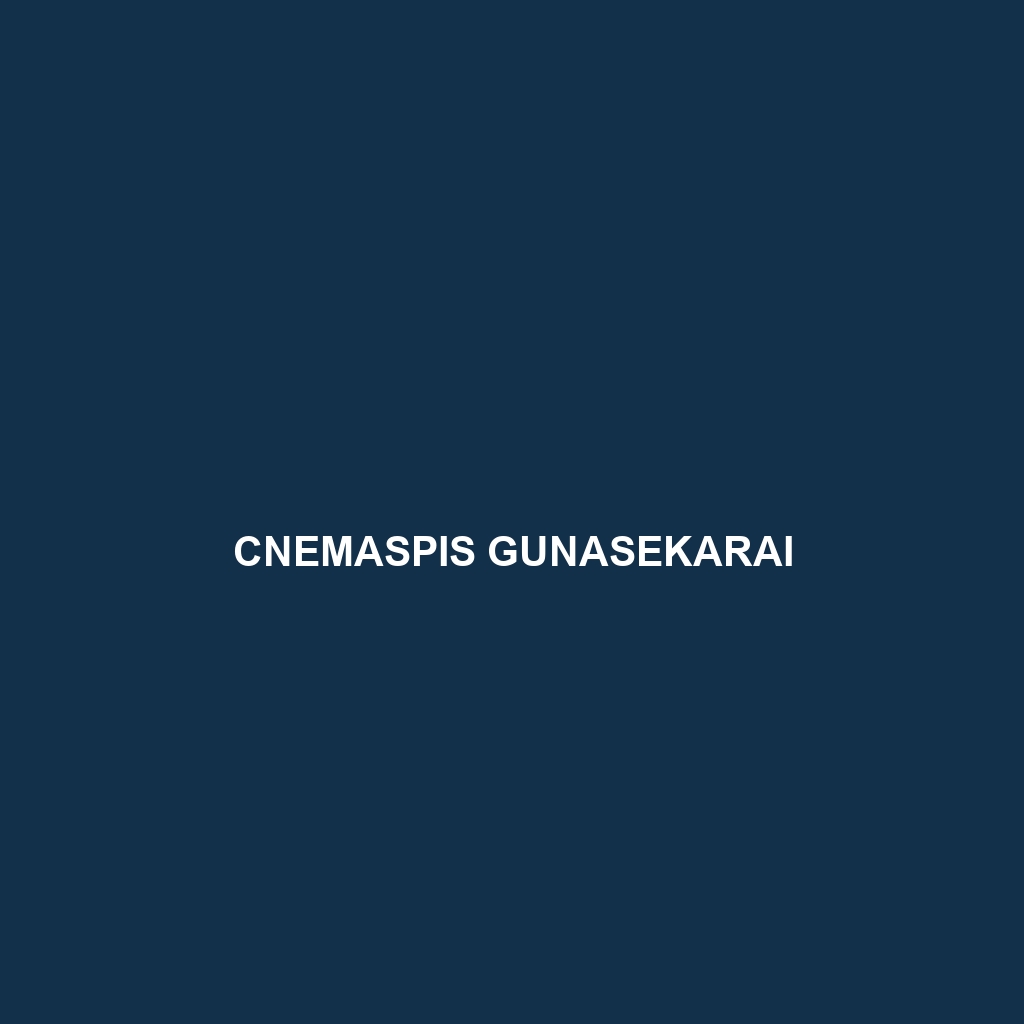 Cnemaspis gunasekarai