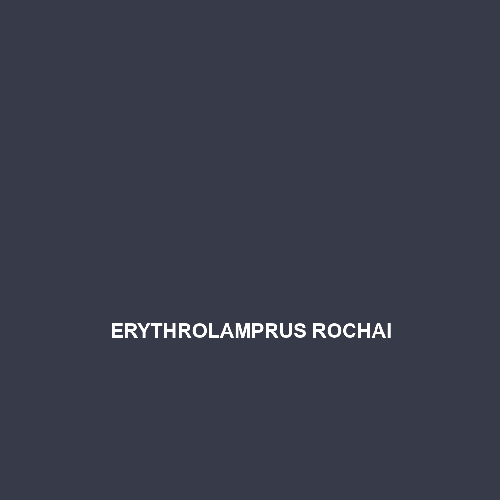 Erythrolamprus rochai