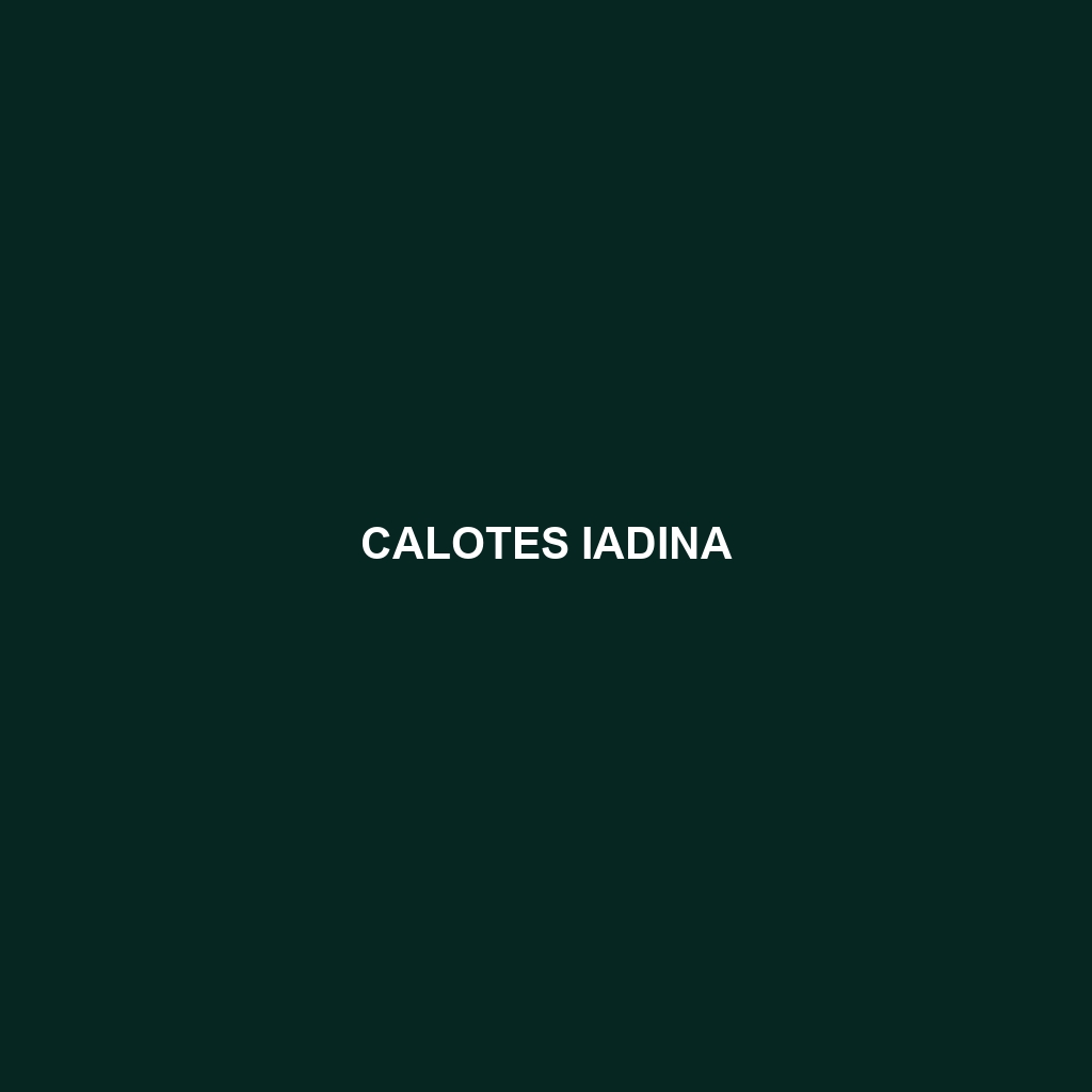 Calotes iadina