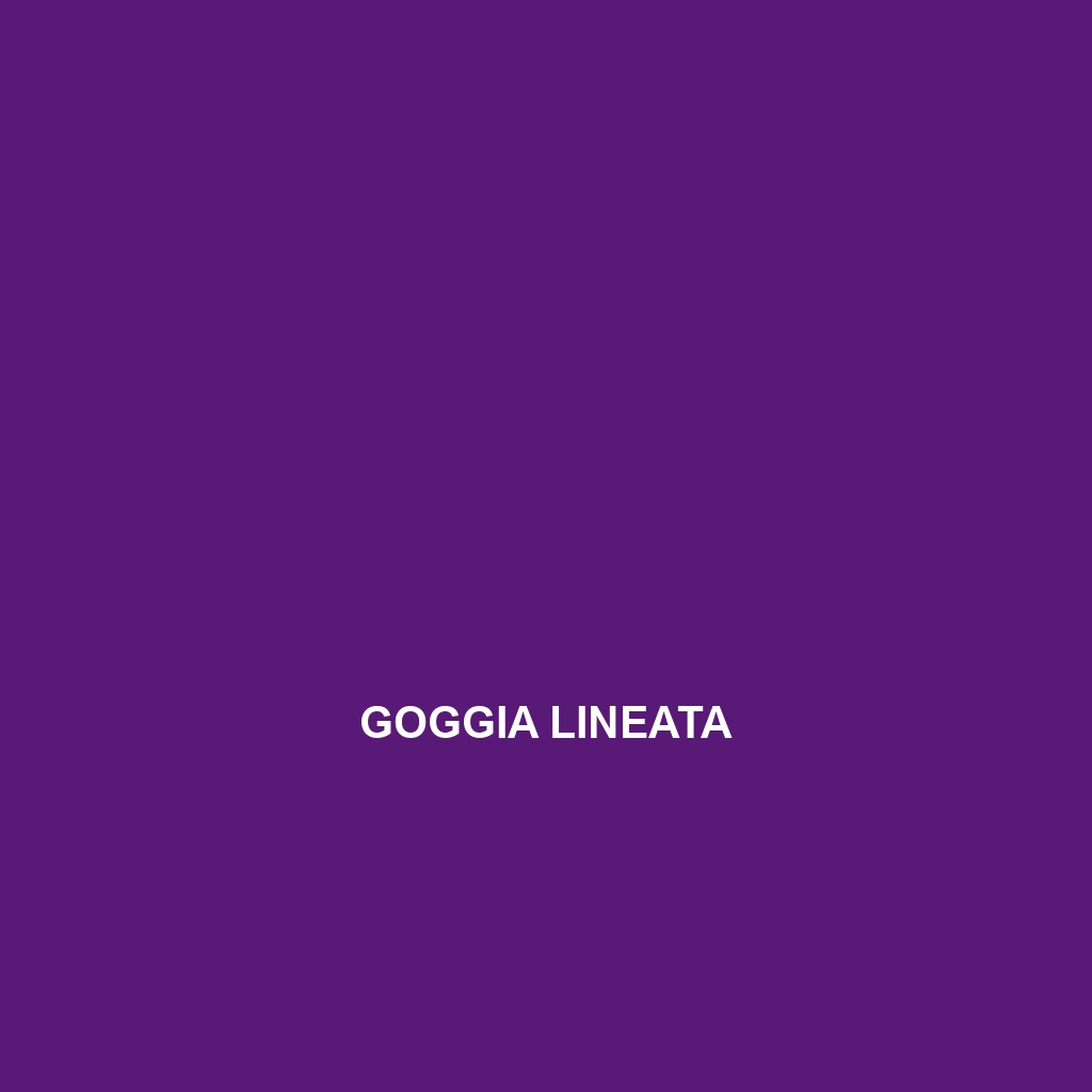 Goggia lineata