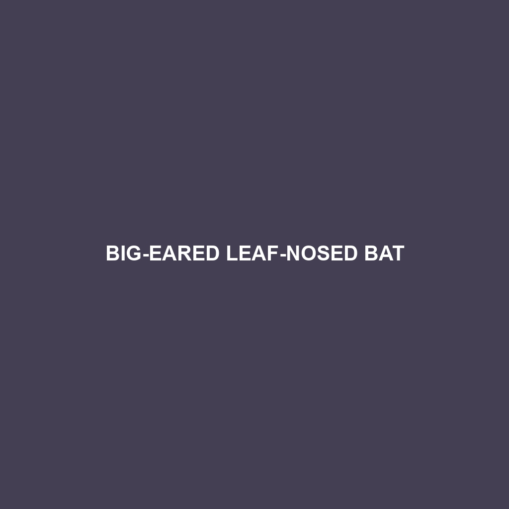 Big-eared Leaf-nosed Bat