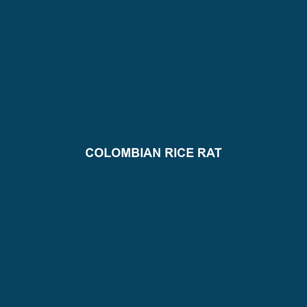 Colombian Rice Rat