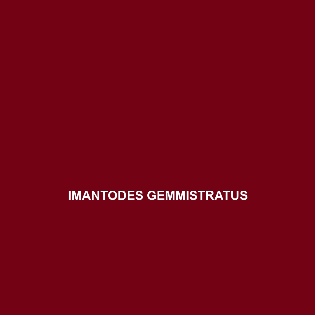 Imantodes gemmistratus