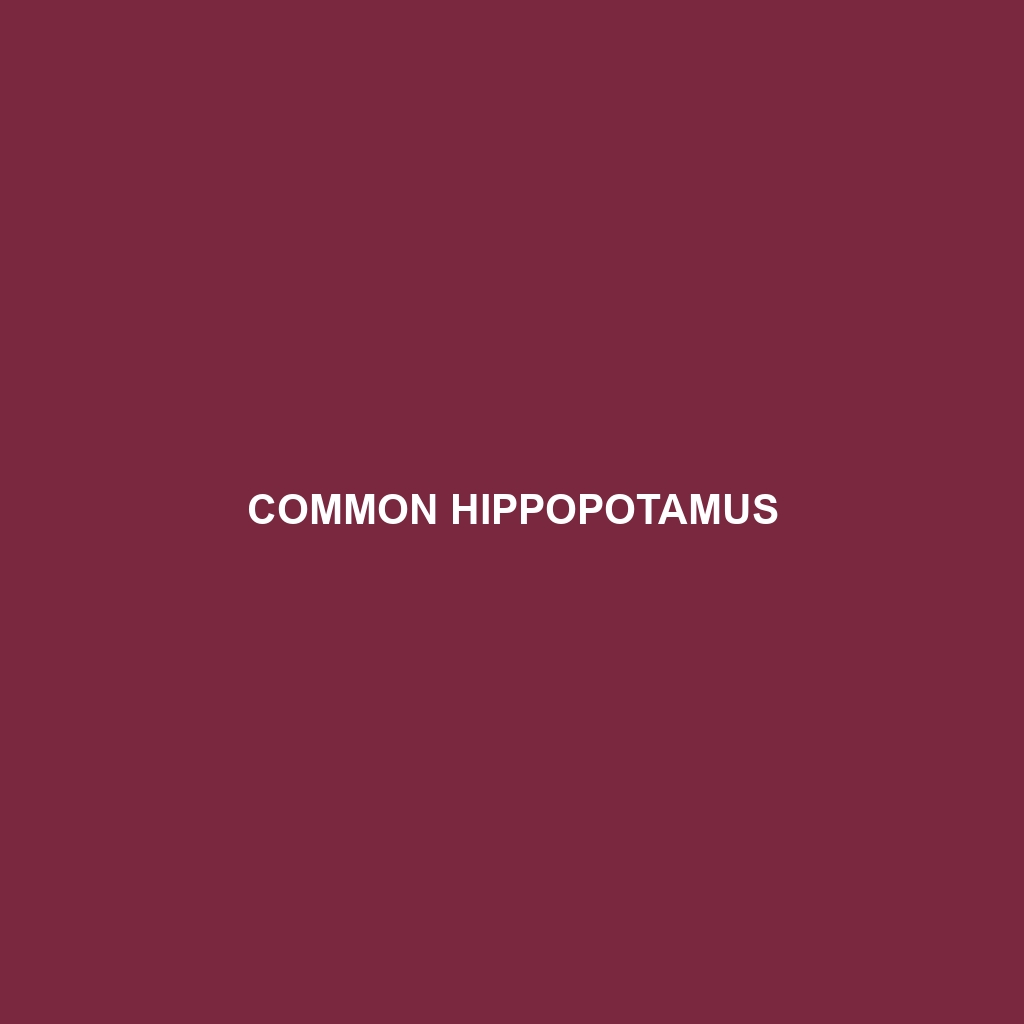 Common Hippopotamus