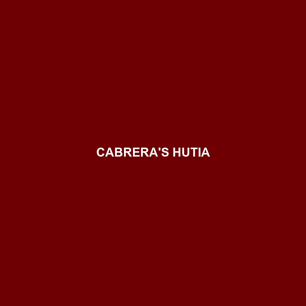 Cabrera's Hutia