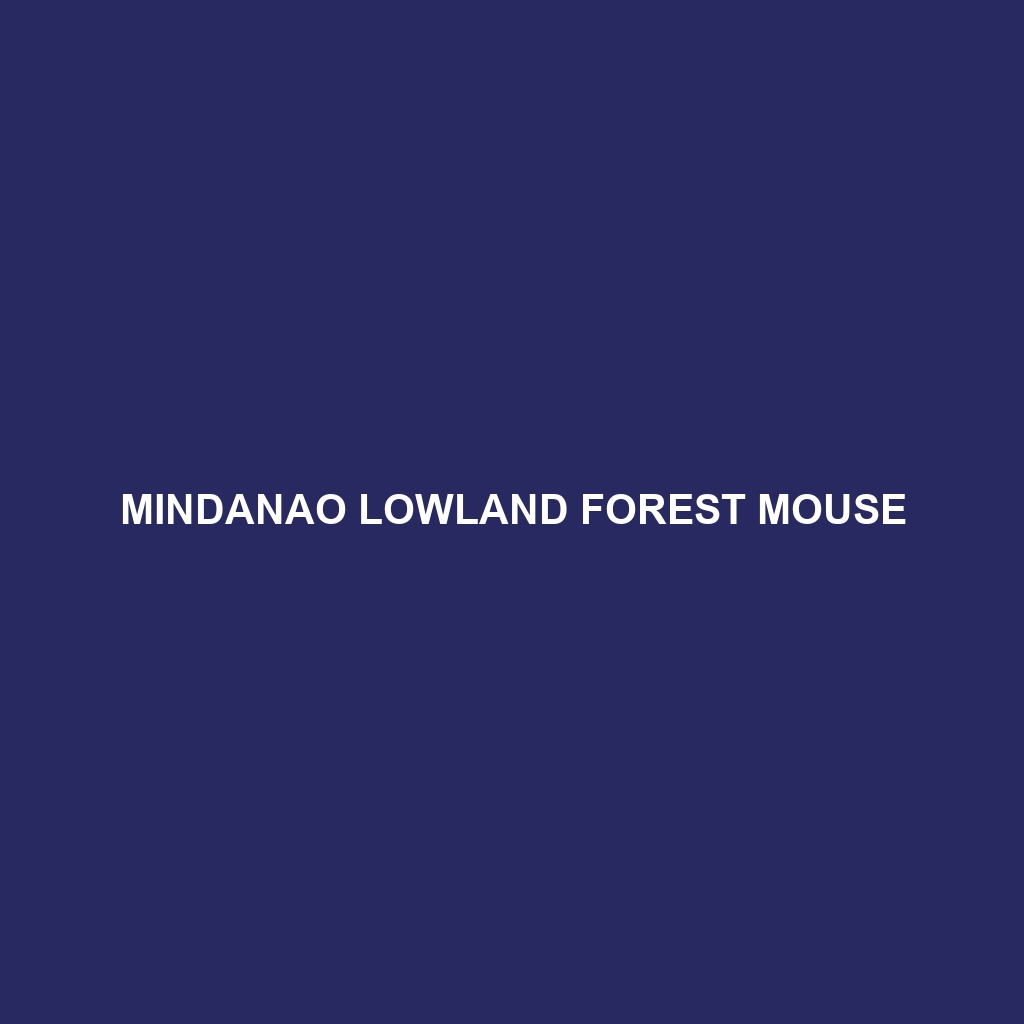 Mindanao Lowland Forest Mouse