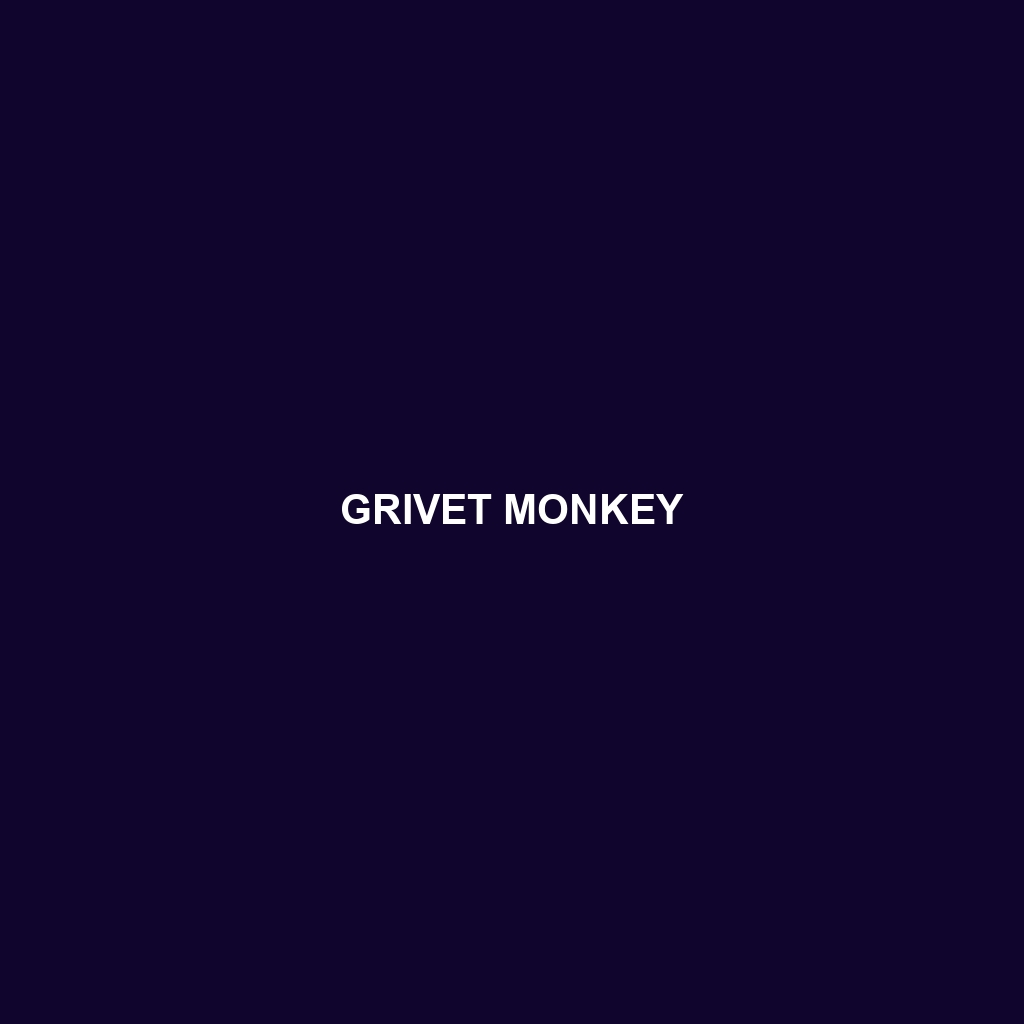 Grivet Monkey