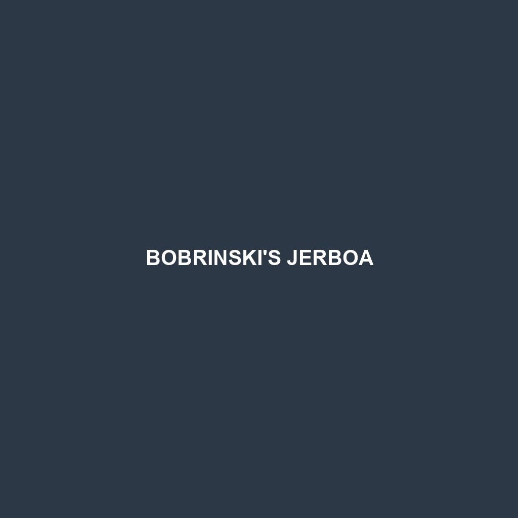 Bobrinski's Jerboa