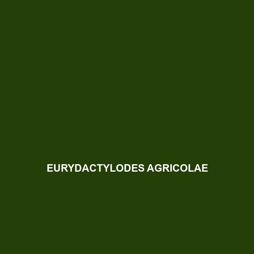 Eurydactylodes agricolae