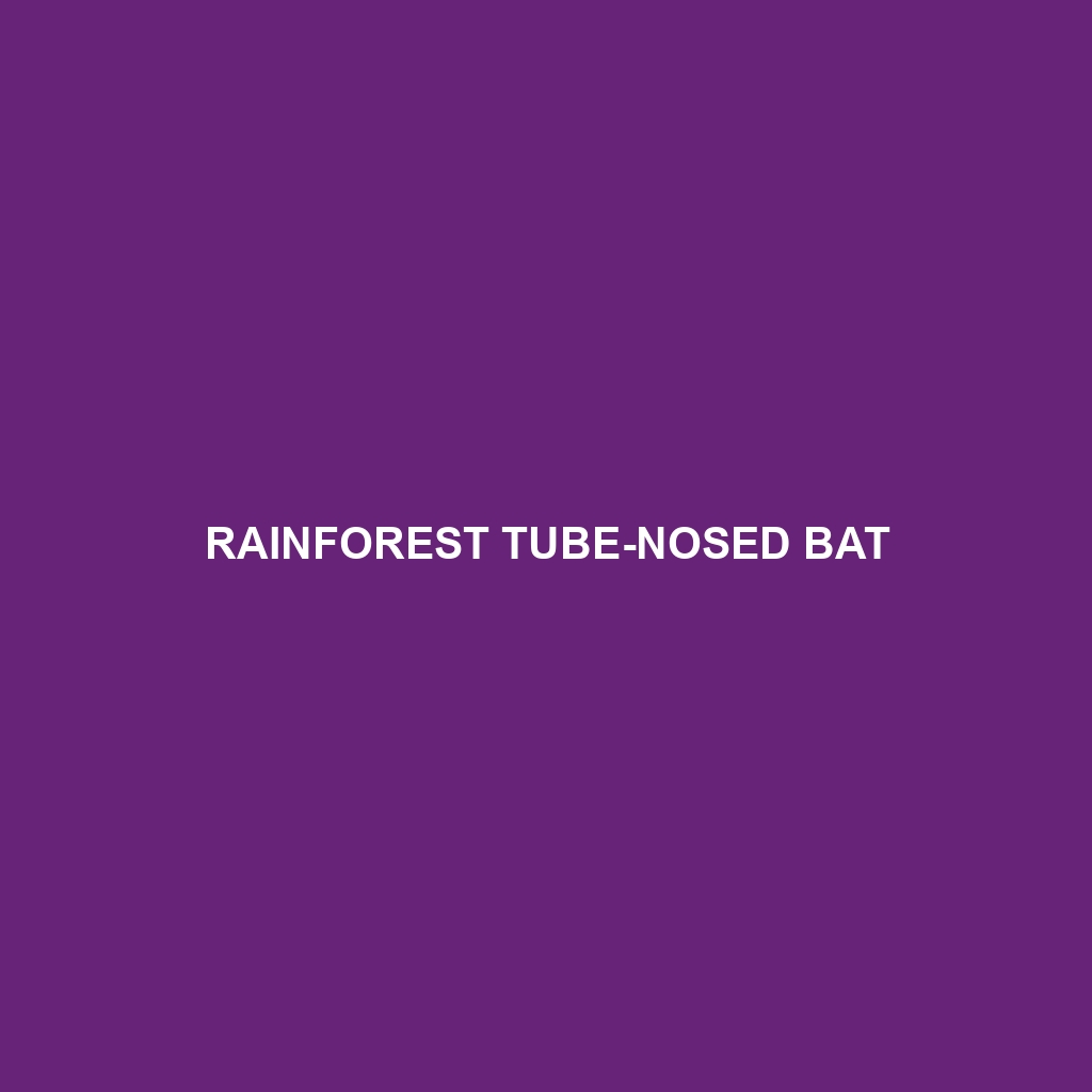 Rainforest Tube-nosed Bat