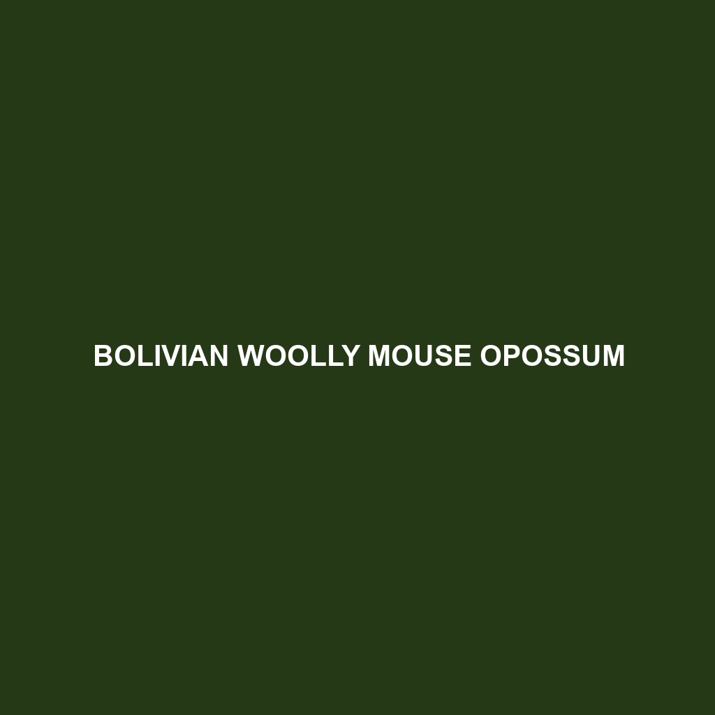 Bolivian Woolly Mouse Opossum