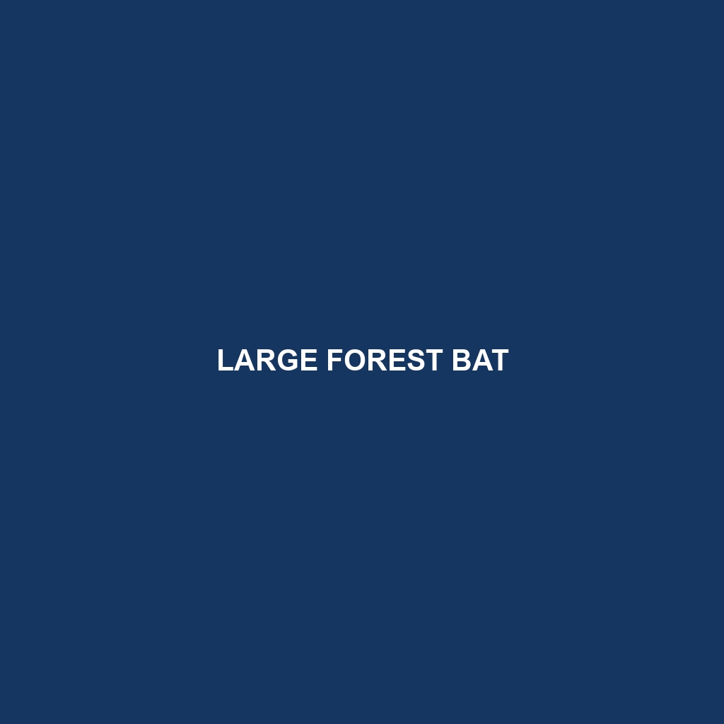 Large Forest Bat