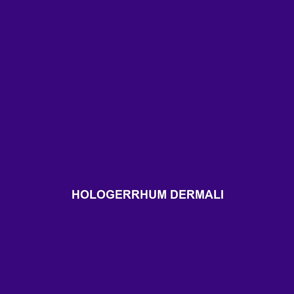 Hologerrhum dermali