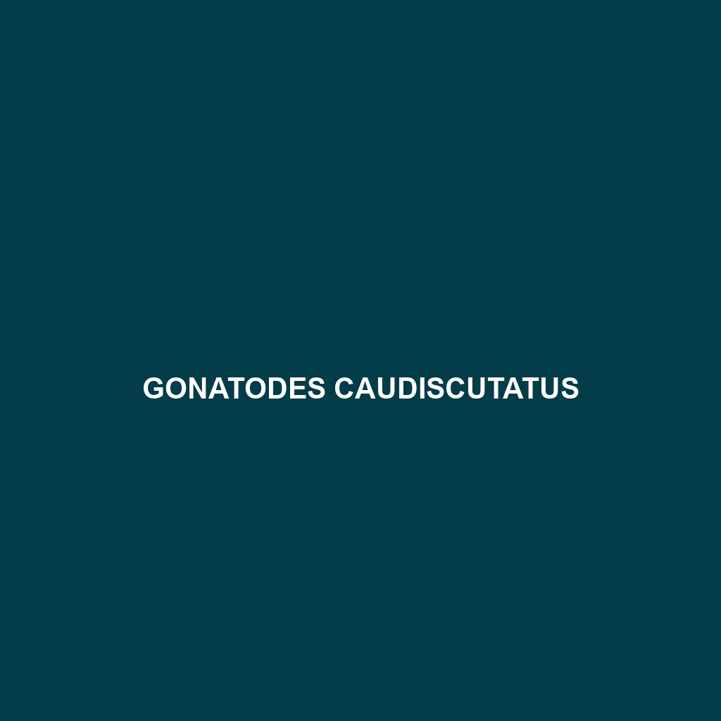 Gonatodes caudiscutatus