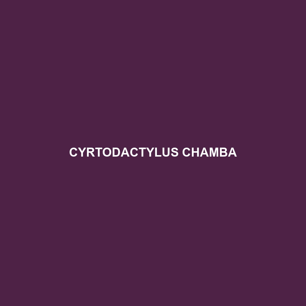 Cyrtodactylus chamba