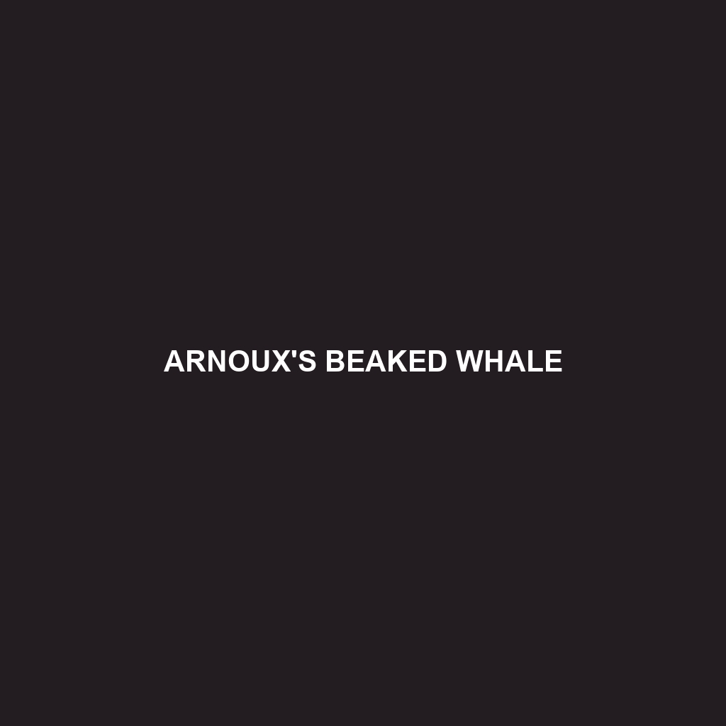 Arnoux's Beaked Whale