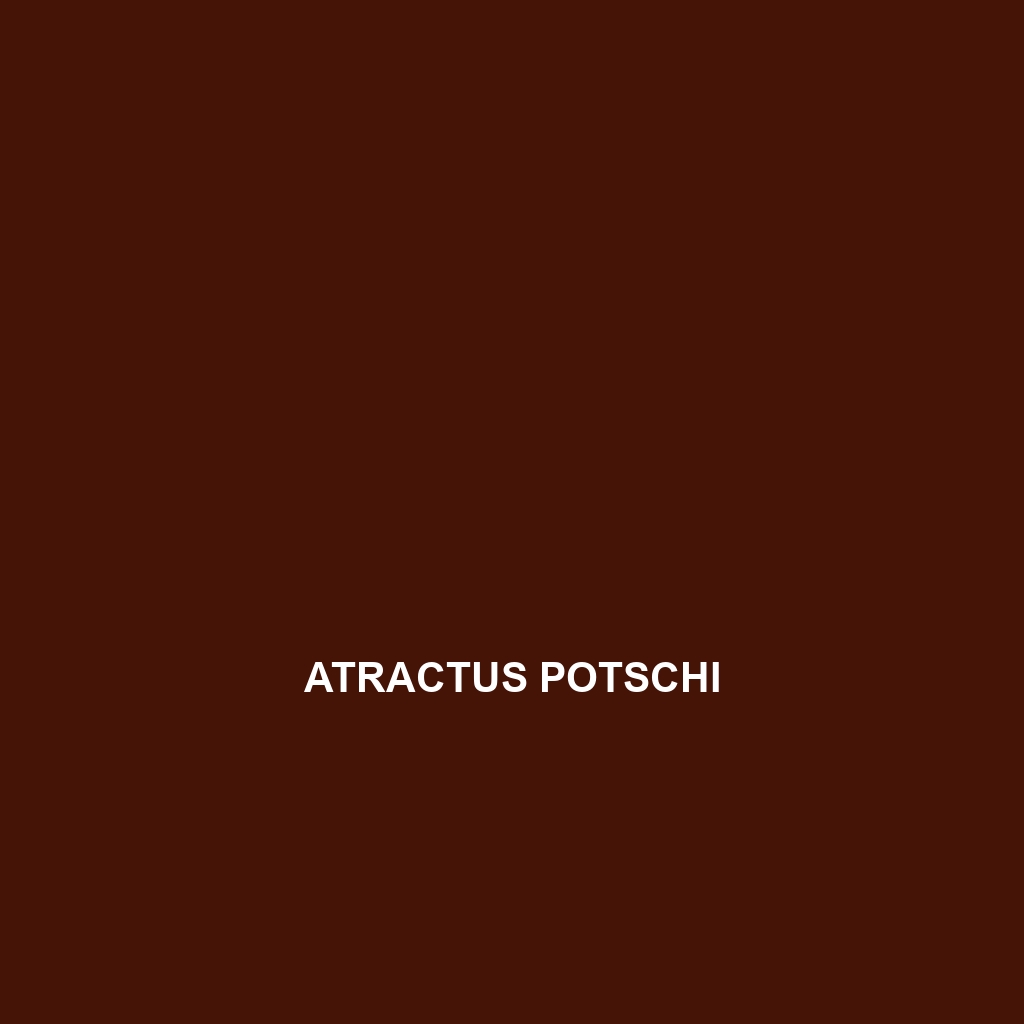 Atractus poeppigi