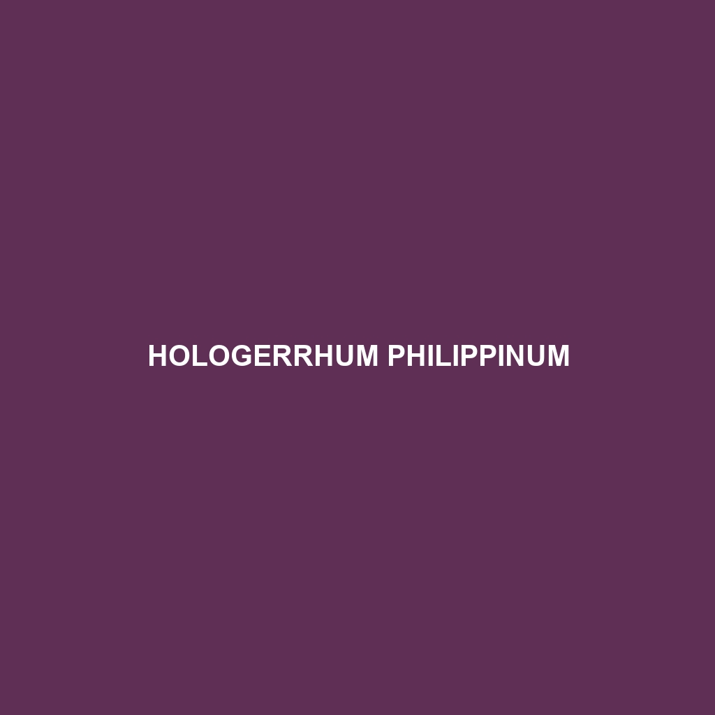 Hologerrhum philippinum