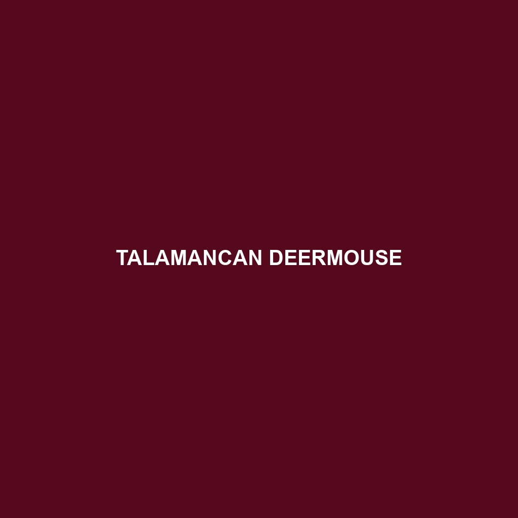 Talamancan Deermouse