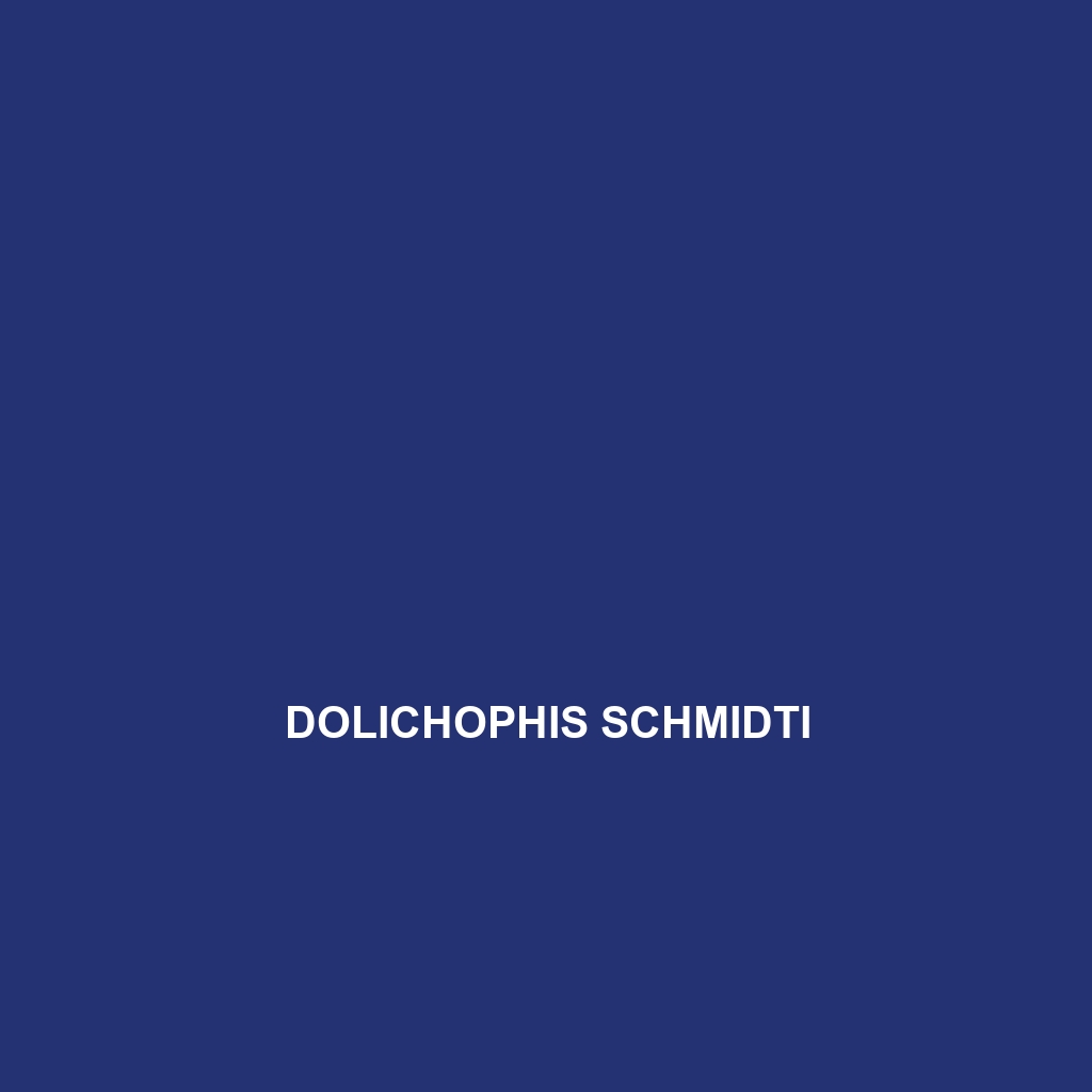 Dolichophis schmidti