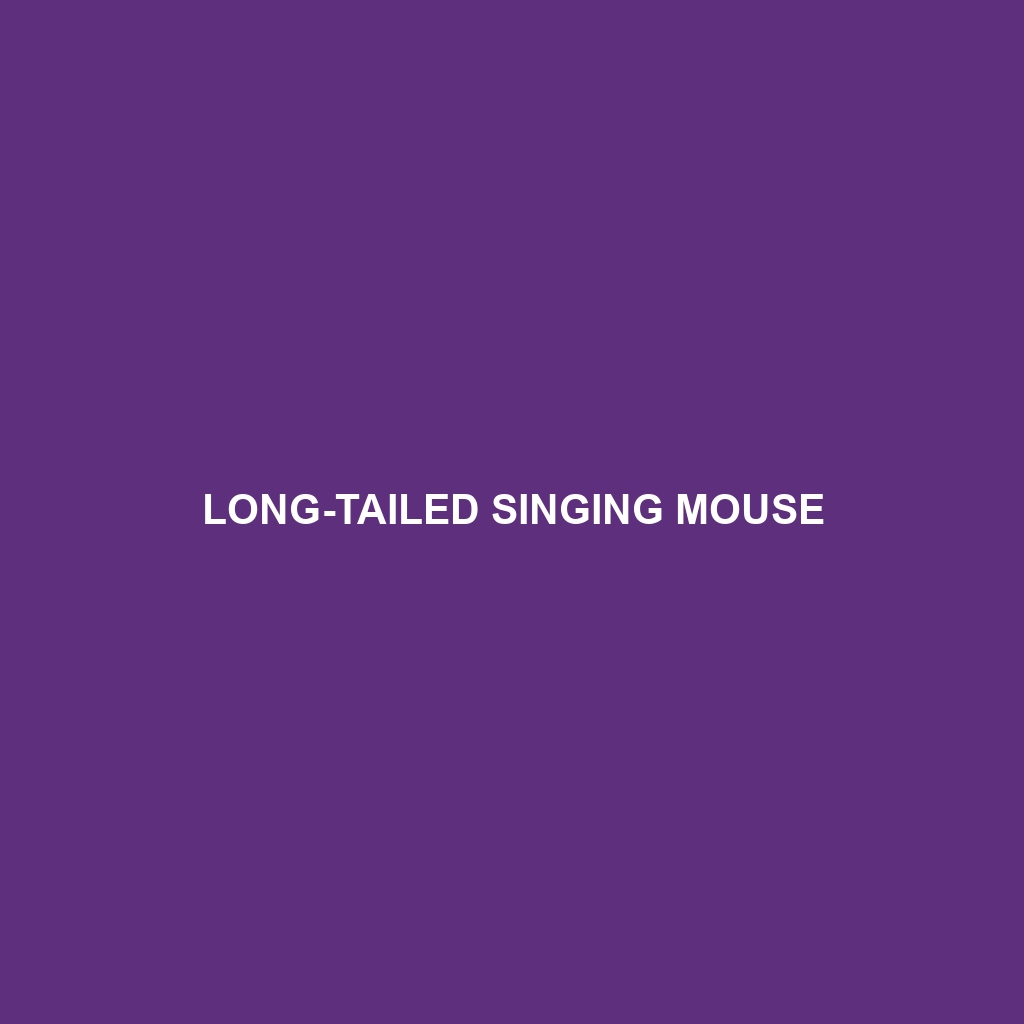 Long-tailed Singing Mouse