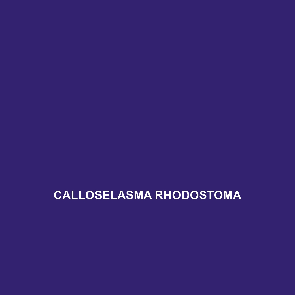 Calloselasma rhodostoma