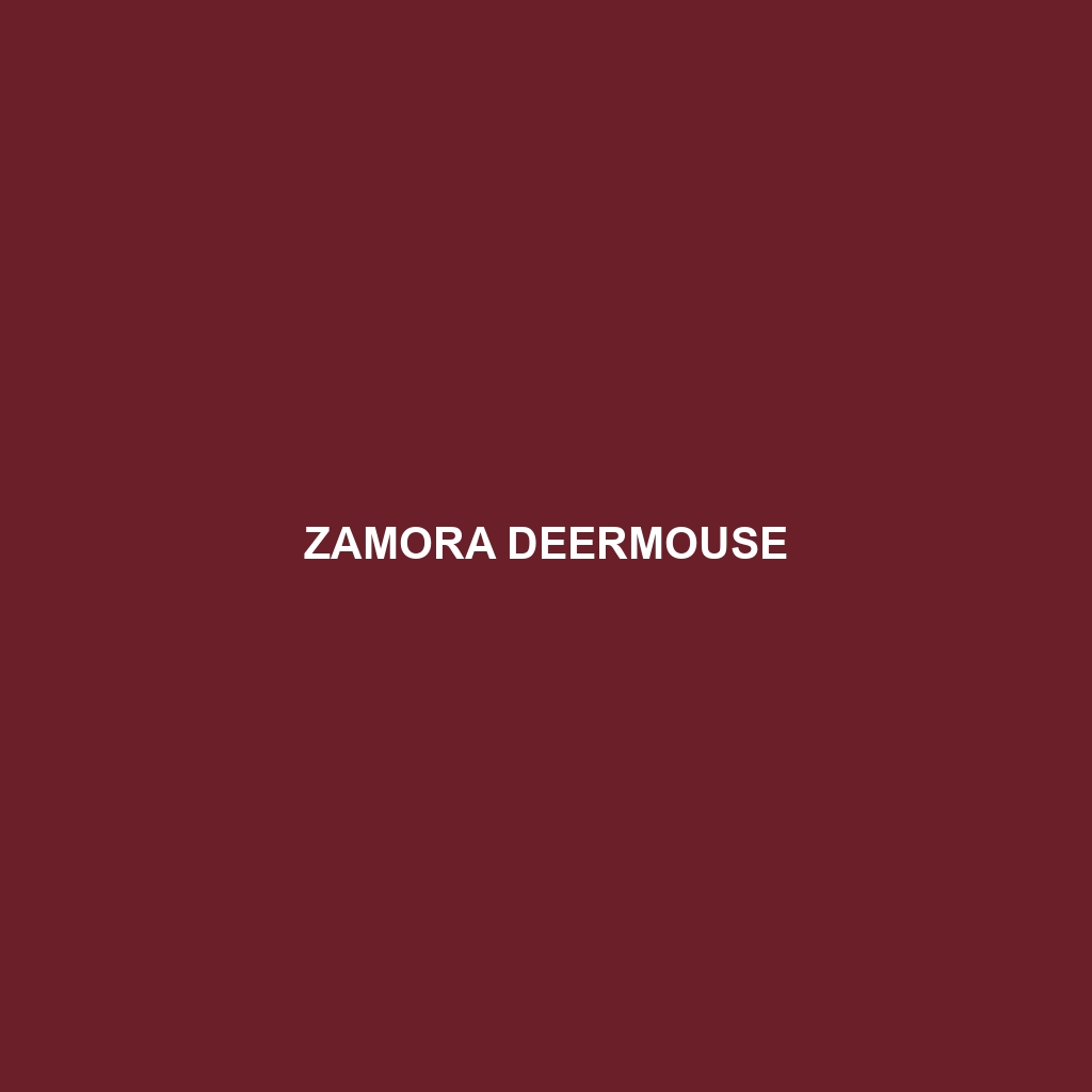 Zamora Deermouse