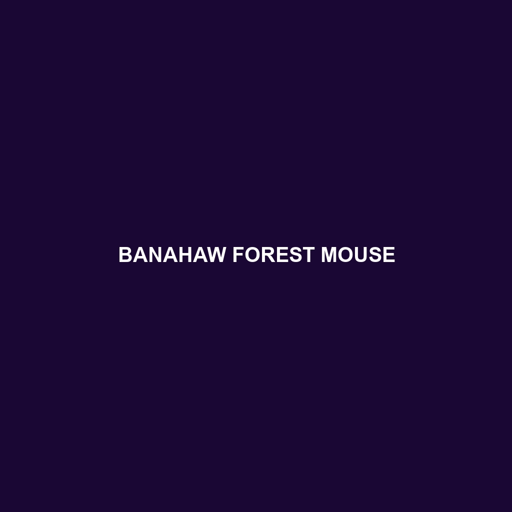 Banahaw Forest Mouse