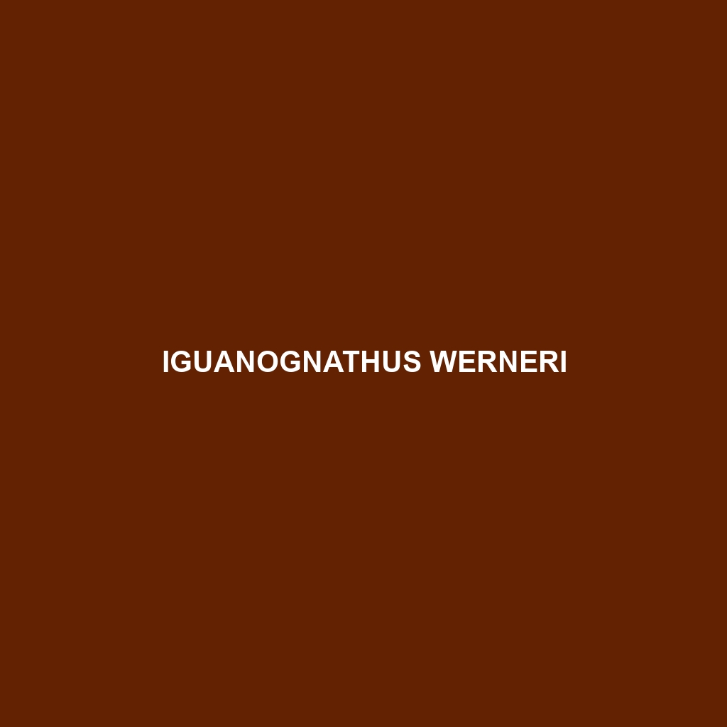 Iguanognathus werneri