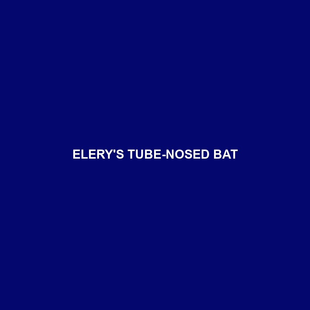 Elery's Tube-nosed Bat