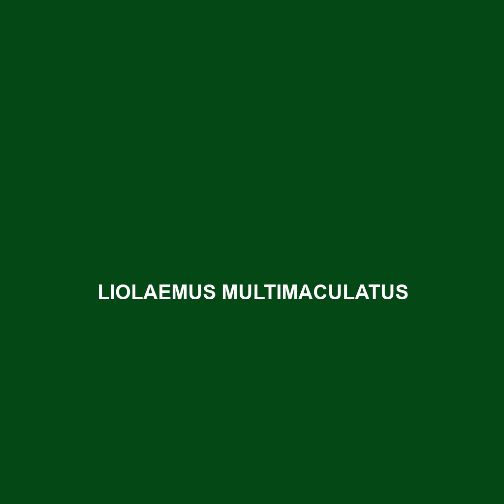 Liolaemus multimaculatus