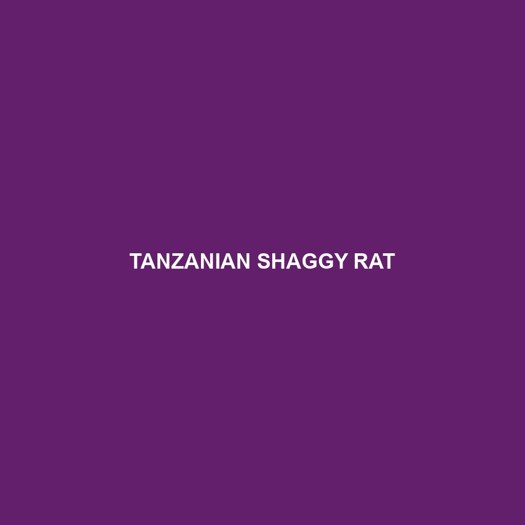 Tanzanian Shaggy Rat