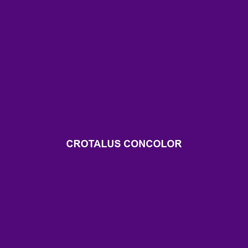 Crotalus concolor