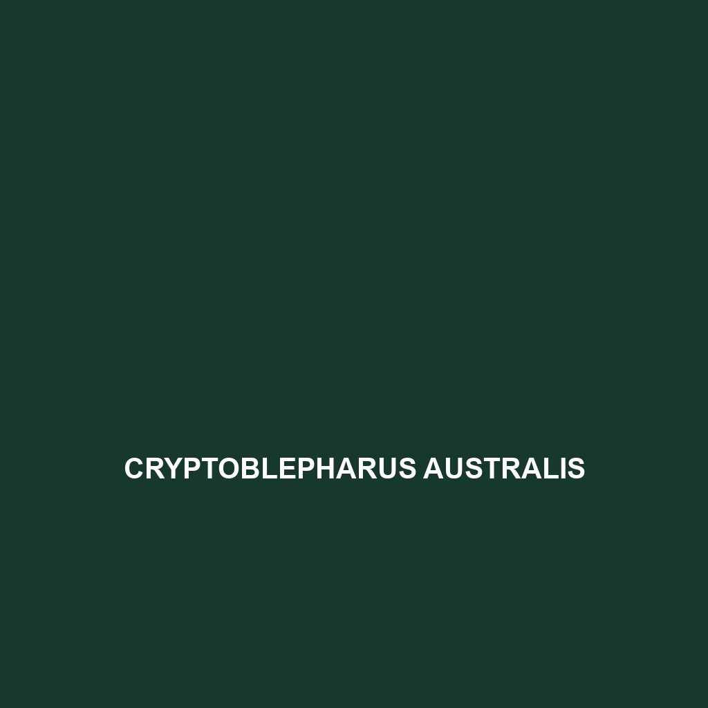 Cryptoblepharus australis