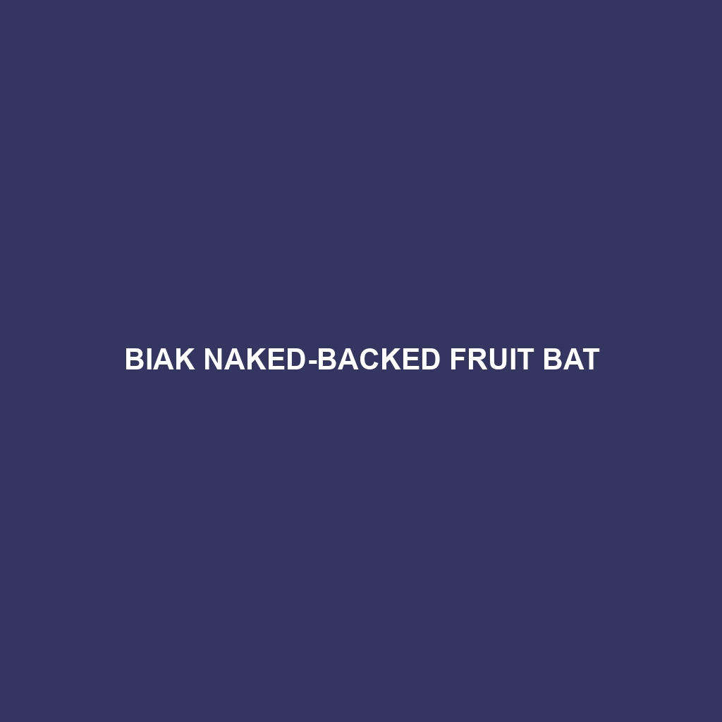 Biak Naked-backed Fruit Bat